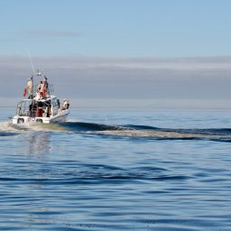 Revolutionizing Player Engagement: The Ultimate Guide to Player Member Onboarding Platforms