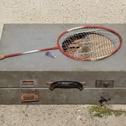 Unlock Peak Performance: The Ultimate Guide to PowerUp Sports Replacement