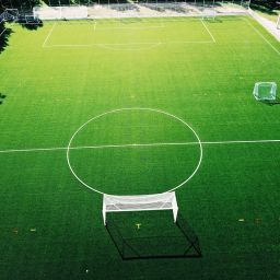 Revolutionizing Sports Club Management: How Software Can Transform Your Organization