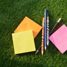 Unlock Your Team’s Potential: The Ultimate Guide to Sports Club Planning Tools