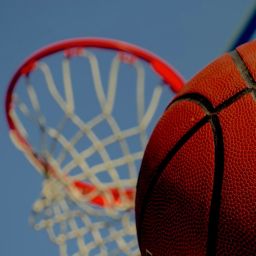 Revolutionizing Sports Membership Enrollment: A Comprehensive Guide to Platform Software