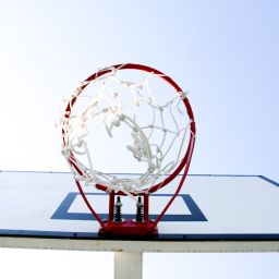 Revolutionizing the World of Sports: The Ultimate Guide to Sports Membership Platforms