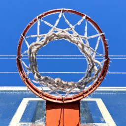 Revolutionizing the Game: How Sports Organization Software Can Transform Your Team’s Performance