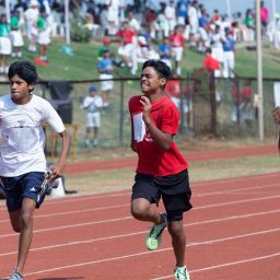 Revolutionizing the World of Sports: The Ultimate Guide to Sports Registration Platforms