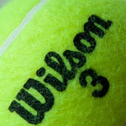 Streamlining Sports Management: The Power of Sports Registration Software