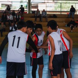 Streamlining Team Success: The Ultimate Guide to Sports Team Management Organizers