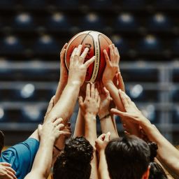 SportsEngine alternatives for youth sports clubs team management software comparison