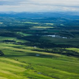 Discover the Natural Beauty and Endless Adventure of Calgary Foothills