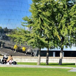 Kicking Your Way to Success: Unlocking the Potential of Carleton Place Soccer Academy