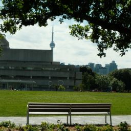 Unlocking the Future of Canadian Soccer: The Toronto FC Academy Story