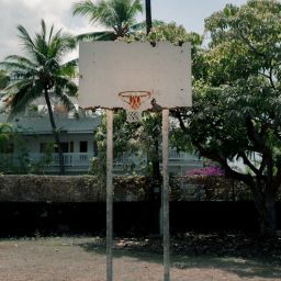 Slam Dunk: Finding the Best Basketball Clubs Near You for Kids