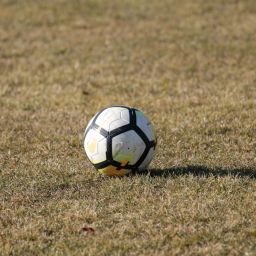 how do clubs manage teams online