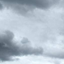 How Do Clubs Manage Volunteers