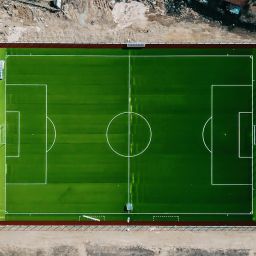 How Do Sports Clubs Manage Player Profiles