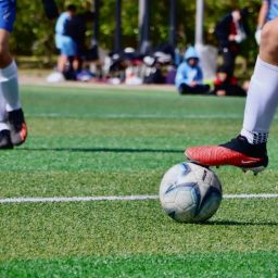 how do sports leagues manage standings