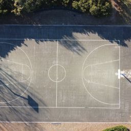 how do sports leagues manage standings