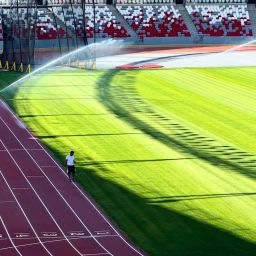 How Do Sports Leagues Track Results