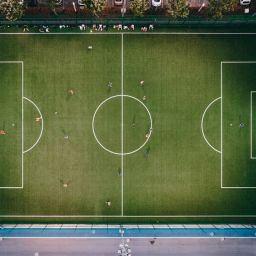 how do sports teams manage tournaments