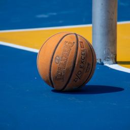 sports academy management software