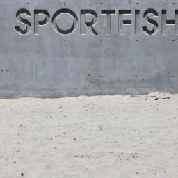 sports athlete fan donation platform