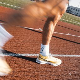 sports athlete portfolio platform