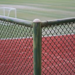 sports athlete social platform