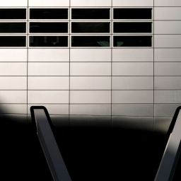 sports club coordination dashboard