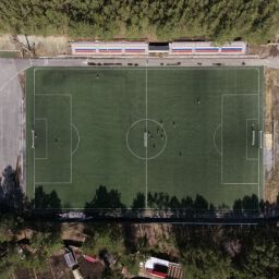 sports club management software alternatives