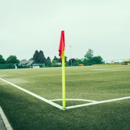 sports coach management platform