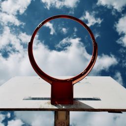 sports coaching management software