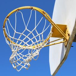 sports league admin software