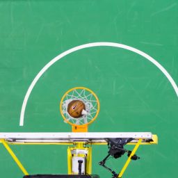 sports league management dashboard