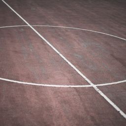 sports team management software alternatives