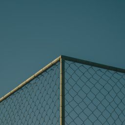 sports team notification app