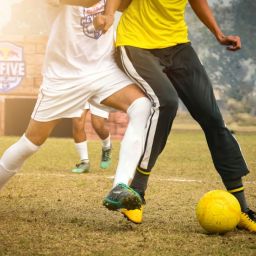 sports tournament app alternatives