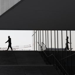 sports training management software