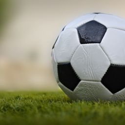 What is the Best Sports Tournament Management Software