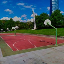 Finding the Best Youth Sports Clubs Near Me: A Comprehensive Guide for Parents