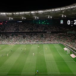 sports club coordination dashboard