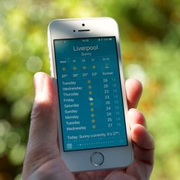 sports club coordination dashboard