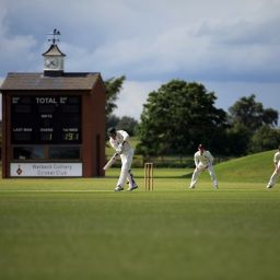 sports club coordination dashboard
