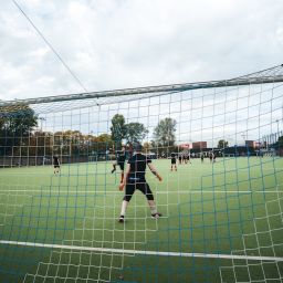 sports club coordination dashboard