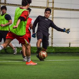 sports club coordination dashboard